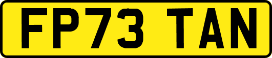 FP73TAN