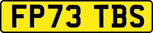 FP73TBS