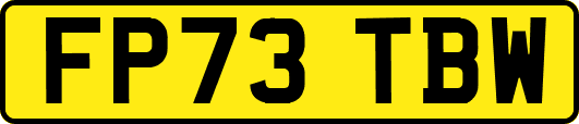 FP73TBW