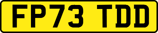 FP73TDD