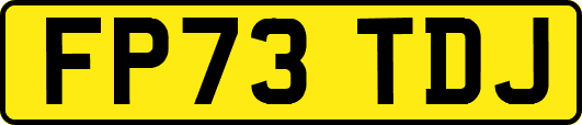 FP73TDJ