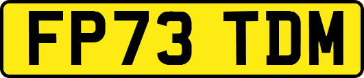 FP73TDM