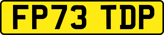 FP73TDP