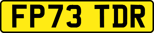 FP73TDR
