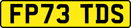 FP73TDS