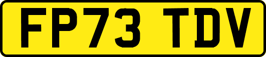 FP73TDV