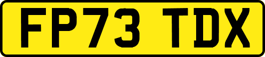 FP73TDX