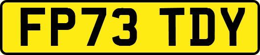FP73TDY