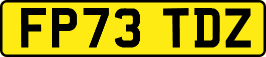 FP73TDZ