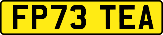 FP73TEA