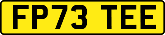 FP73TEE