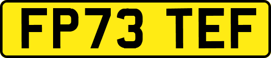 FP73TEF