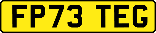 FP73TEG