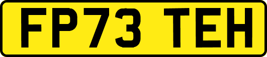 FP73TEH