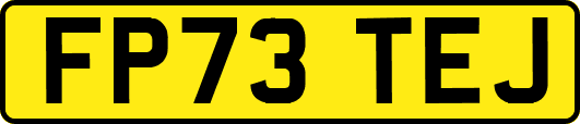 FP73TEJ