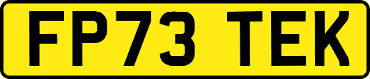 FP73TEK