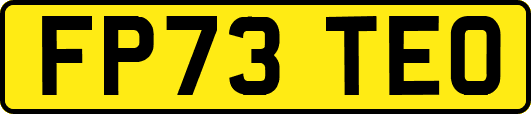FP73TEO