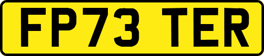 FP73TER