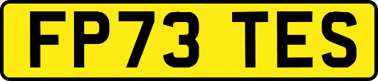 FP73TES