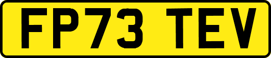 FP73TEV