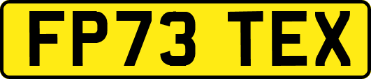 FP73TEX