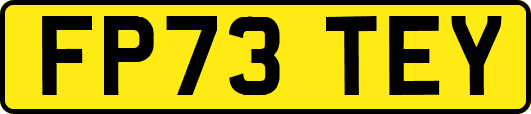FP73TEY