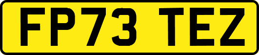 FP73TEZ