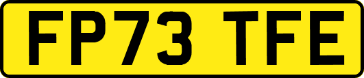 FP73TFE