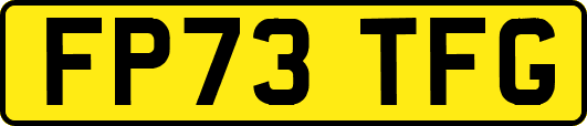 FP73TFG