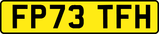 FP73TFH
