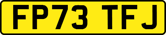 FP73TFJ