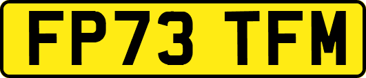 FP73TFM