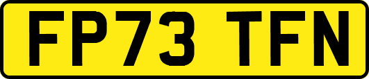 FP73TFN