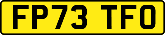 FP73TFO