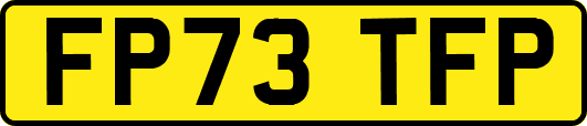 FP73TFP