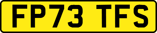 FP73TFS