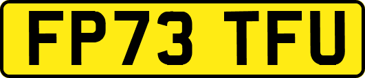 FP73TFU