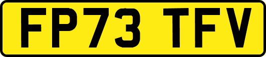 FP73TFV