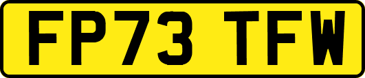 FP73TFW