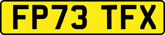 FP73TFX