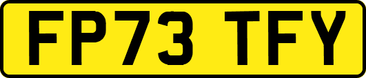 FP73TFY