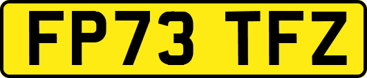 FP73TFZ