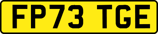 FP73TGE