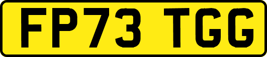 FP73TGG