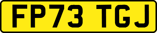 FP73TGJ