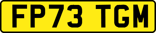 FP73TGM