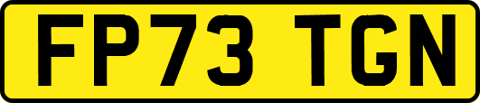 FP73TGN