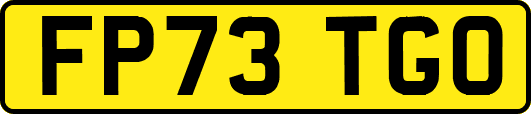 FP73TGO