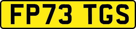 FP73TGS
