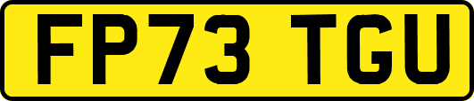 FP73TGU